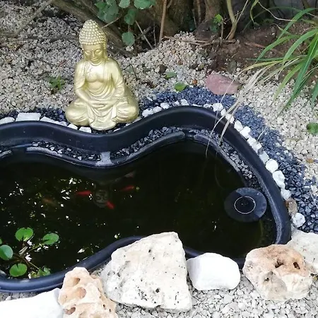 Little Zen House *